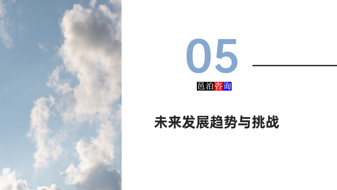 邑泊數(shù)字化智能化技術(shù)軟件定制與信息服務(wù)遠(yuǎn)程外包商業(yè)模式分析未來發(fā)展趨勢與挑戰(zhàn)