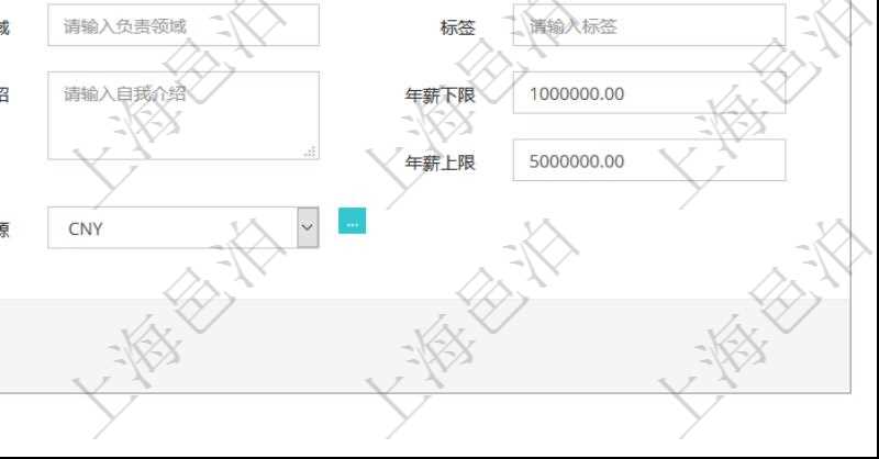 項目管理軟件人力資源管理可以修改維護(hù)團(tuán)隊信息，比如：上級團(tuán)隊、序號、名稱、代碼、描述、財務(wù)人、登錄賬戶、組長、單位、部門、直接主管、在職狀態(tài)、負(fù)責(zé)領(lǐng)域、標(biāo)簽、崗位職責(zé)、自我介紹、年薪下限、年薪上限、年成本、貨幣單位資源等。
