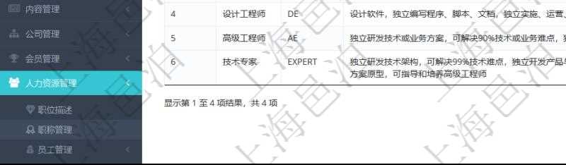 項(xiàng)目管理軟件人力資源管理職稱管理查詢列表可以查詢維護(hù)職稱配置信息，比如包括：ID、名稱、代碼、描述與分類等。