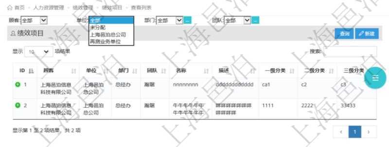 在項目管理軟件中，人力資源績效最多可分為3級分類管理，通過績效項目查詢頁面，用戶可以查到具體績效項目明細(xì)，比如：單位、部門、團(tuán)隊、名稱、描述、一級分類、二級分類、三級分類等。
