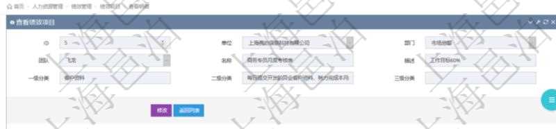 在項(xiàng)目管理軟件里，人力資源管理模塊可以查詢績效項(xiàng)目明細(xì)信息，比如：單位、部門、團(tuán)隊(duì)、名稱、描述、一級(jí)分類、二級(jí)分類、三級(jí)分類等。