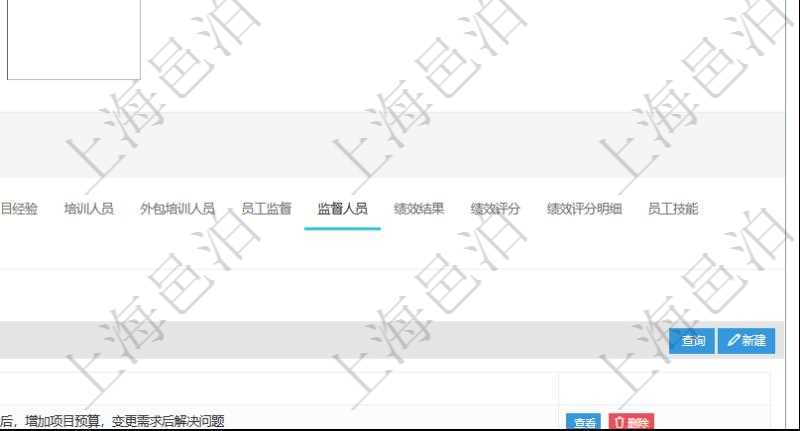 項(xiàng)目管理軟件人力資源管理模塊員工基本信息資料明細(xì)查詢還可以關(guān)聯(lián)查詢更多相關(guān)資料，比如負(fù)責(zé)過的監(jiān)督項(xiàng)目：監(jiān)督、項(xiàng)次、總結(jié)。