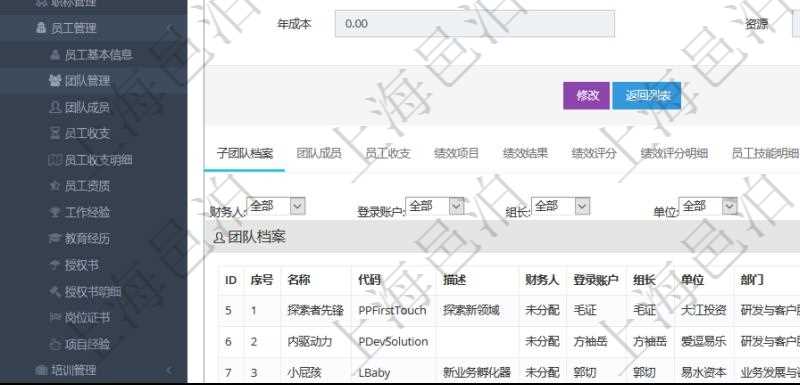 項(xiàng)目管理軟件人力資源管理系統(tǒng)可以通過(guò)團(tuán)隊(duì)明細(xì)子頁(yè)面查詢得到該團(tuán)隊(duì)的子團(tuán)隊(duì)信息，比如：子團(tuán)隊(duì)名稱、子團(tuán)隊(duì)代碼、子團(tuán)隊(duì)描述、財(cái)務(wù)人、登錄賬戶、組長(zhǎng)、單位、部門、直接主管、在職狀態(tài)、負(fù)責(zé)領(lǐng)域、標(biāo)簽、崗位職責(zé)、自我介紹、年薪下限、年薪上限、年成本等。